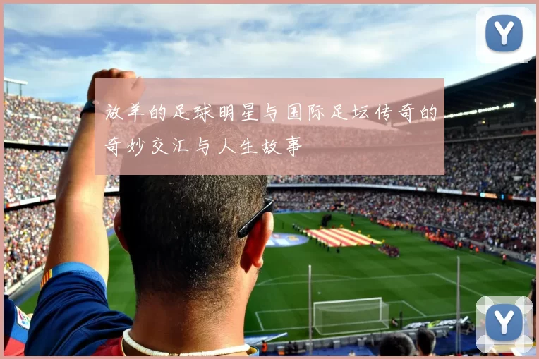 放羊的足球明星与国际足坛传奇的奇妙交汇与人生故事