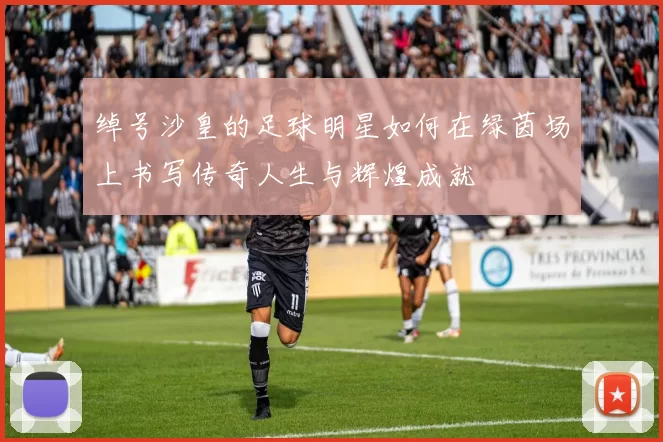 绰号沙皇的足球明星如何在绿茵场上书写传奇人生与辉煌成就