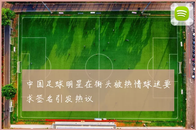 中国足球明星在街头被热情球迷要求签名引发热议