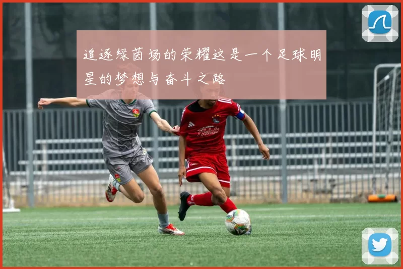 追逐绿茵场的荣耀这是一个足球明星的梦想与奋斗之路