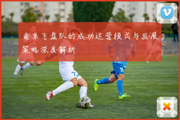 南京飞盘队的成功运营模式与发展策略深度解析