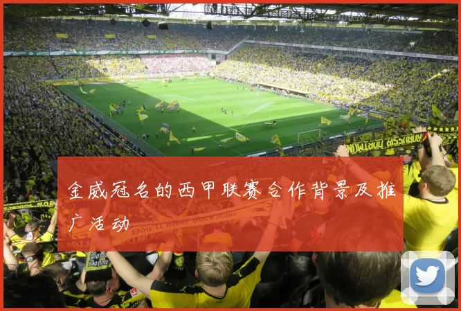 金威冠名的西甲联赛合作背景及推广活动