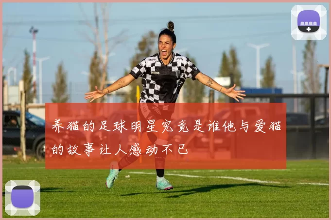 养猫的足球明星究竟是谁他与爱猫的故事让人感动不已
