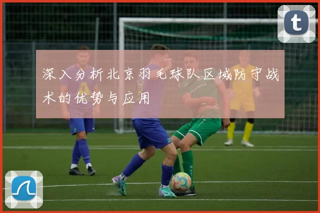 深入分析北京羽毛球队区域防守战术的优势与应用