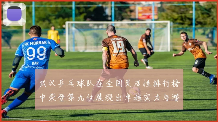 武汉乒乓球队在全国灵活性排行榜中荣登第九位展现出卓越实力与潜力