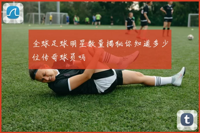 全球足球明星数量揭秘你知道多少位传奇球员吗