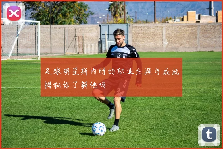 足球明星斯内特的职业生涯与成就揭秘你了解他吗