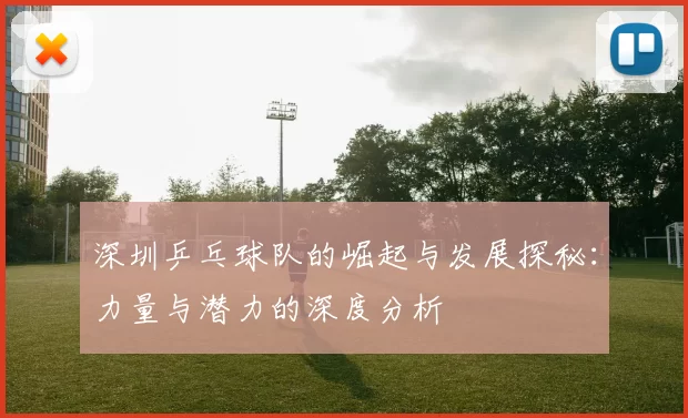 深圳乒乓球队的崛起与发展探秘：力量与潜力的深度分析