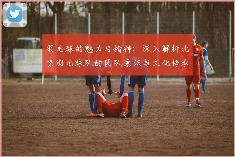 羽毛球的魅力与精神：深入解析北京羽毛球队的团队意识与文化传承