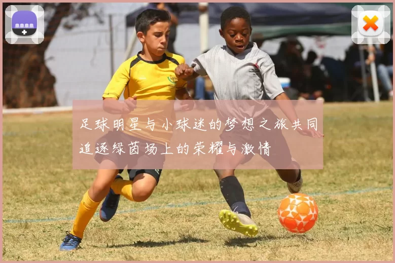 足球明星与小球迷的梦想之旅共同追逐绿茵场上的荣耀与激情