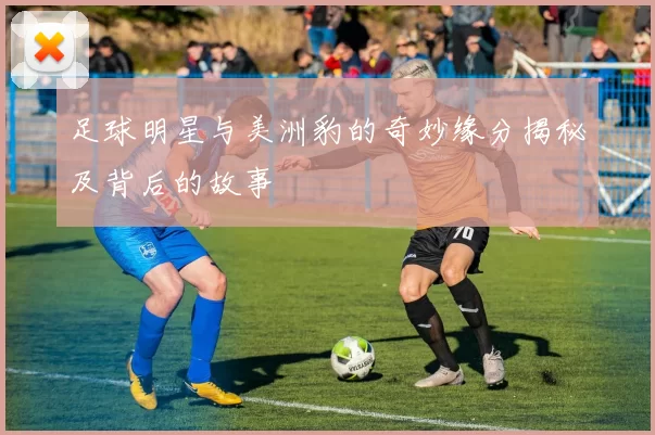 足球明星与美洲豹的奇妙缘分揭秘及背后的故事