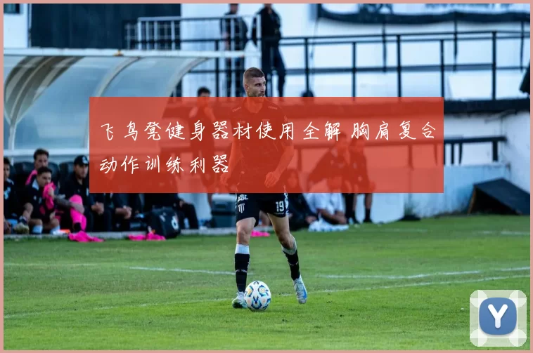飞鸟凳健身器材使用全解 胸肩复合动作训练利器