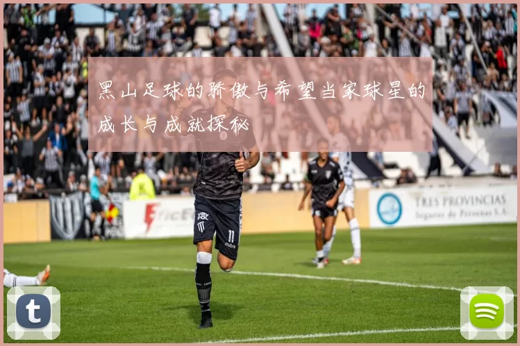 黑山足球的骄傲与希望当家球星的成长与成就探秘