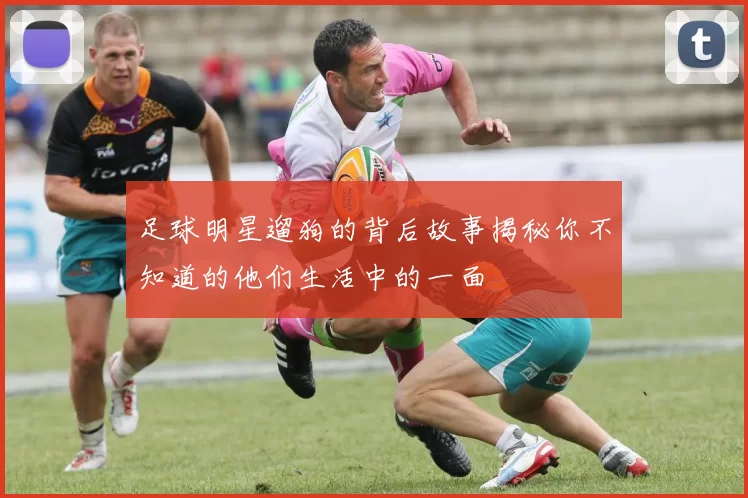 足球明星遛狗的背后故事揭秘你不知道的他们生活中的一面