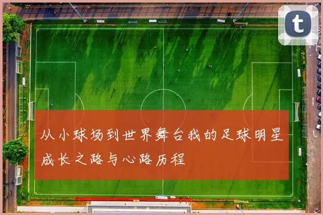 从小球场到世界舞台我的足球明星成长之路与心路历程
