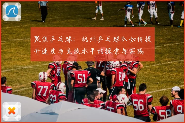 聚焦乒乓球：杭州乒乓球队如何提升速度与竞技水平的探索与实践