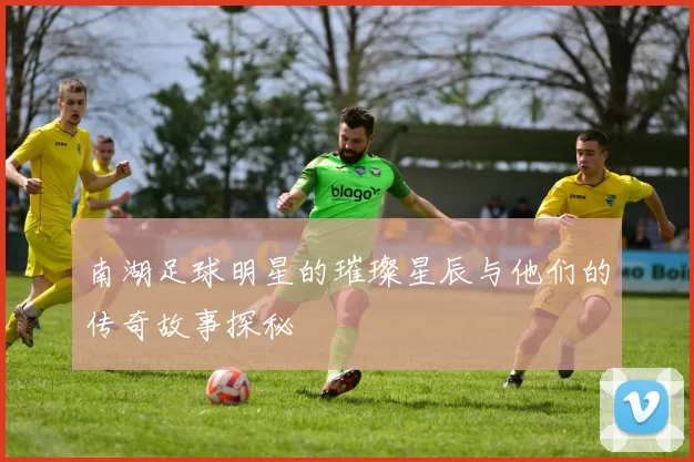 南湖足球明星的璀璨星辰与他们的传奇故事探秘