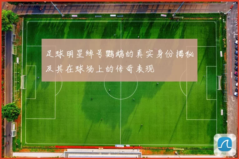 足球明星绰号鹦鹉的真实身份揭秘及其在球场上的传奇表现