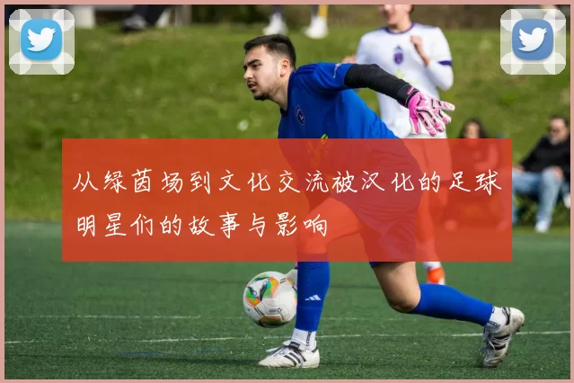 从绿茵场到文化交流被汉化的足球明星们的故事与影响